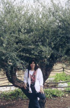 sallyolivetree